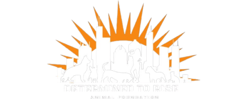 Determined to Rise Animal Foundation